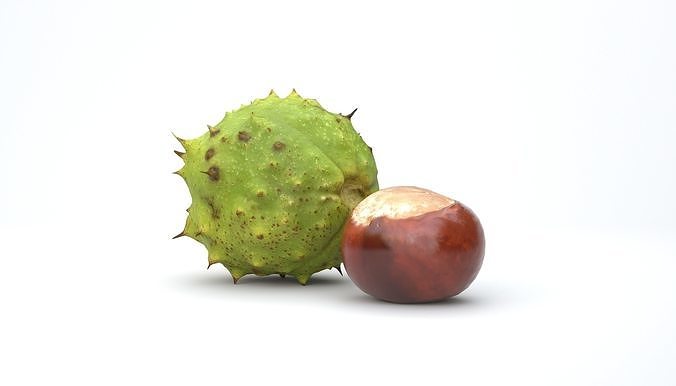 Chestnut Photoscan Low-poly 3D model