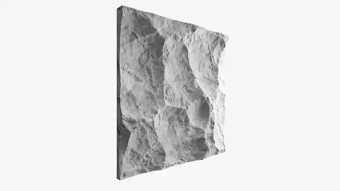 160-RockPanel piece of rock