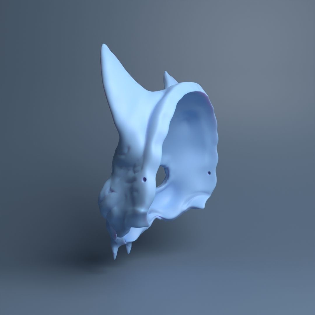 Cat Skull Scary Mask 3D print model_3