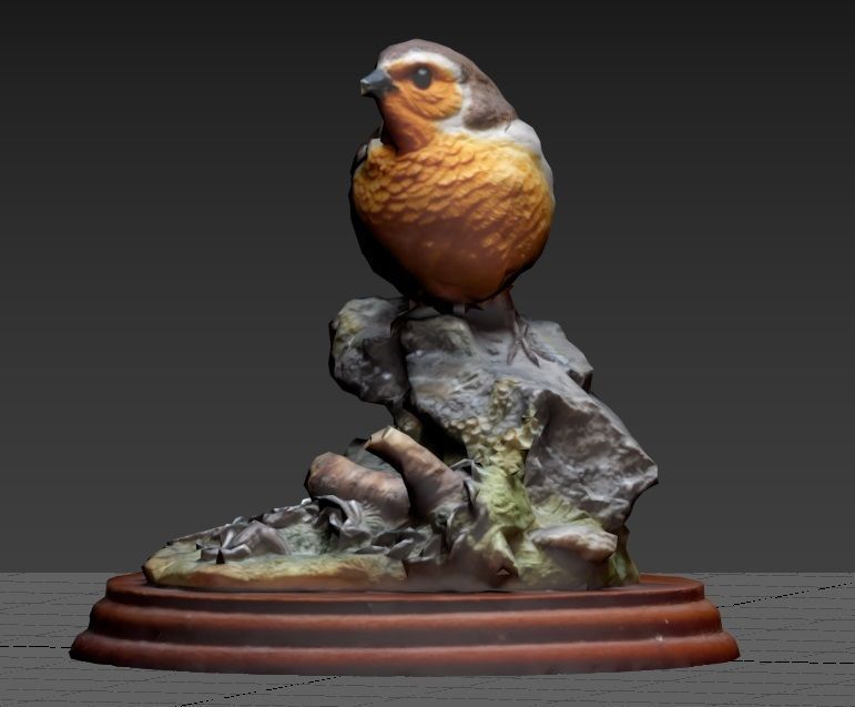 Robin Decoration 3D model_4