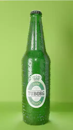 tuborg beer 3D model