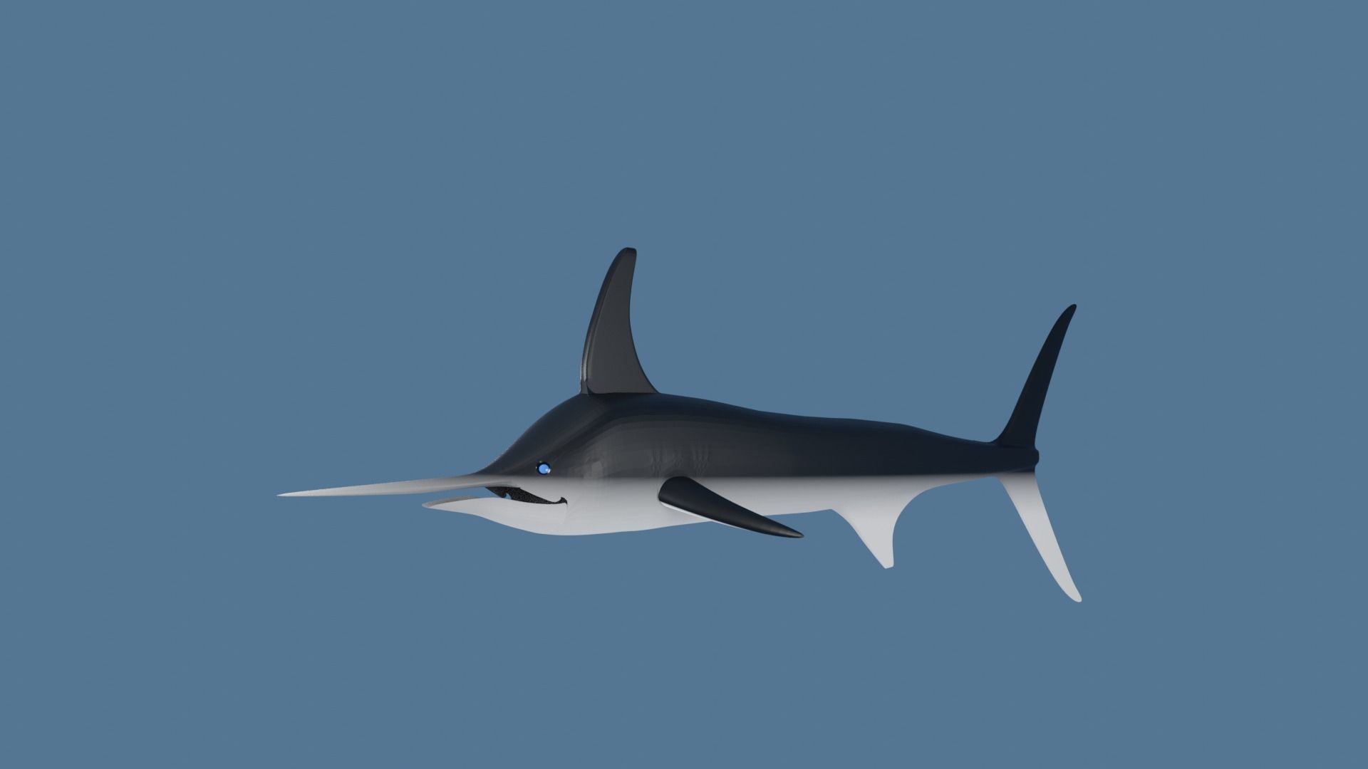 Sword Fish Low-poly 3D model_2