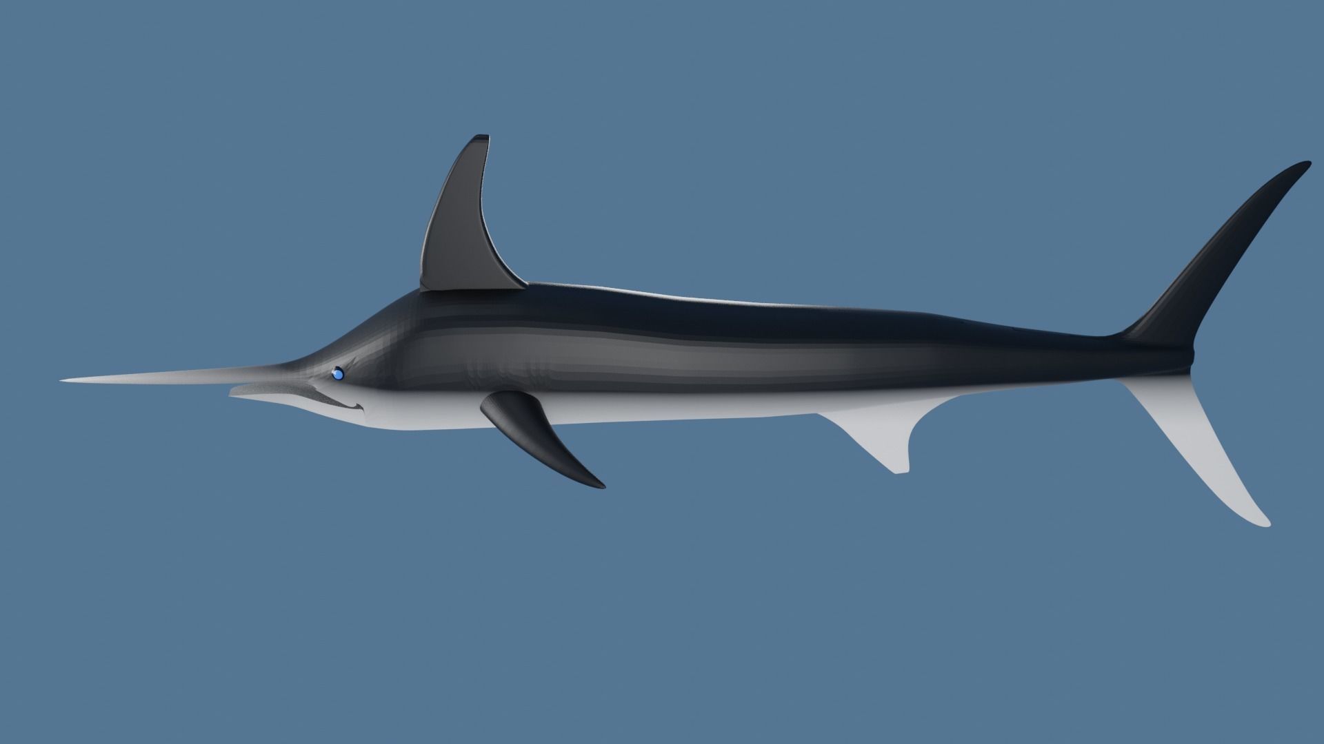 Sword Fish Low-poly 3D model_4