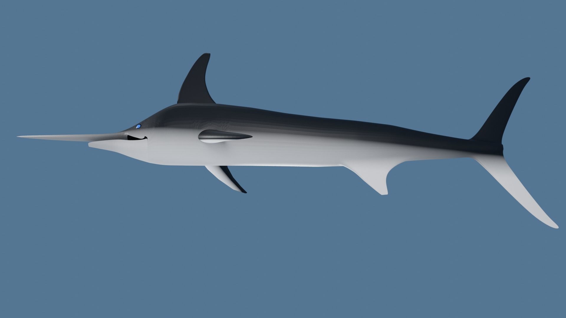 Sword Fish Low-poly 3D model_6