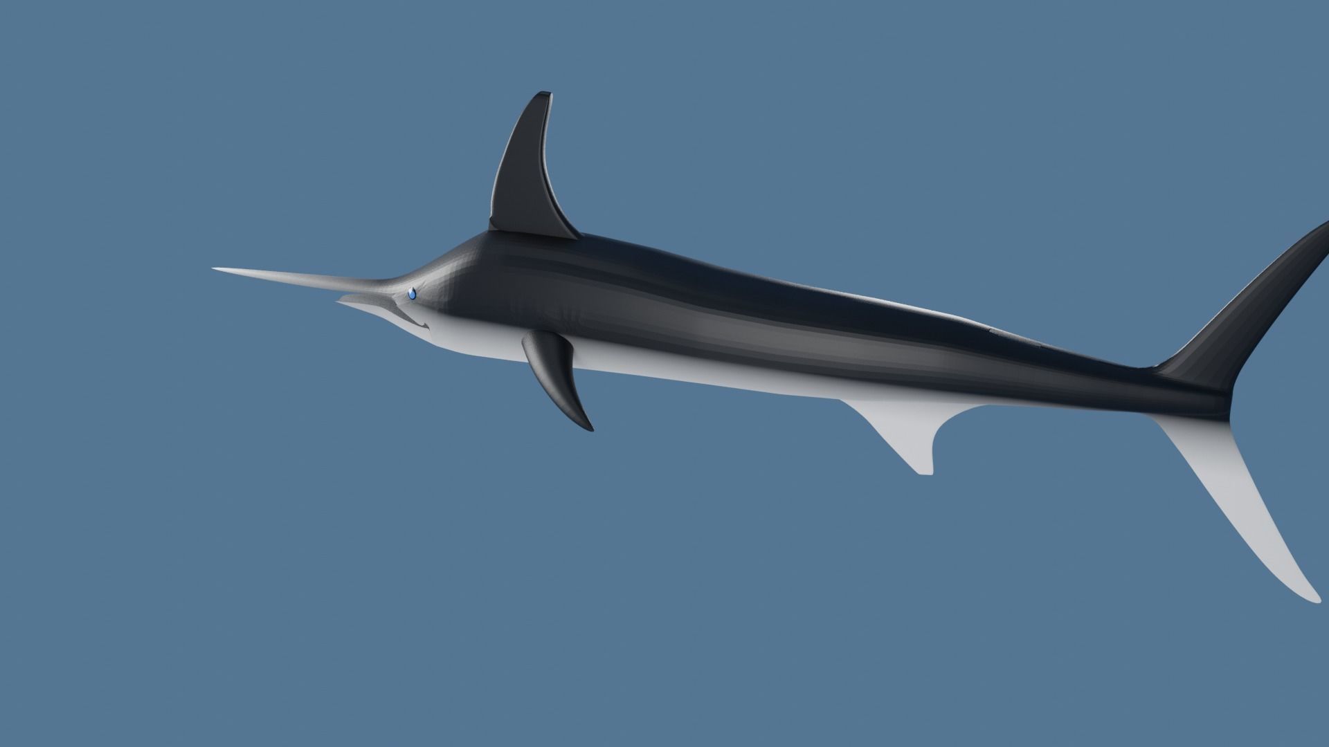 Sword Fish Low-poly 3D model_5