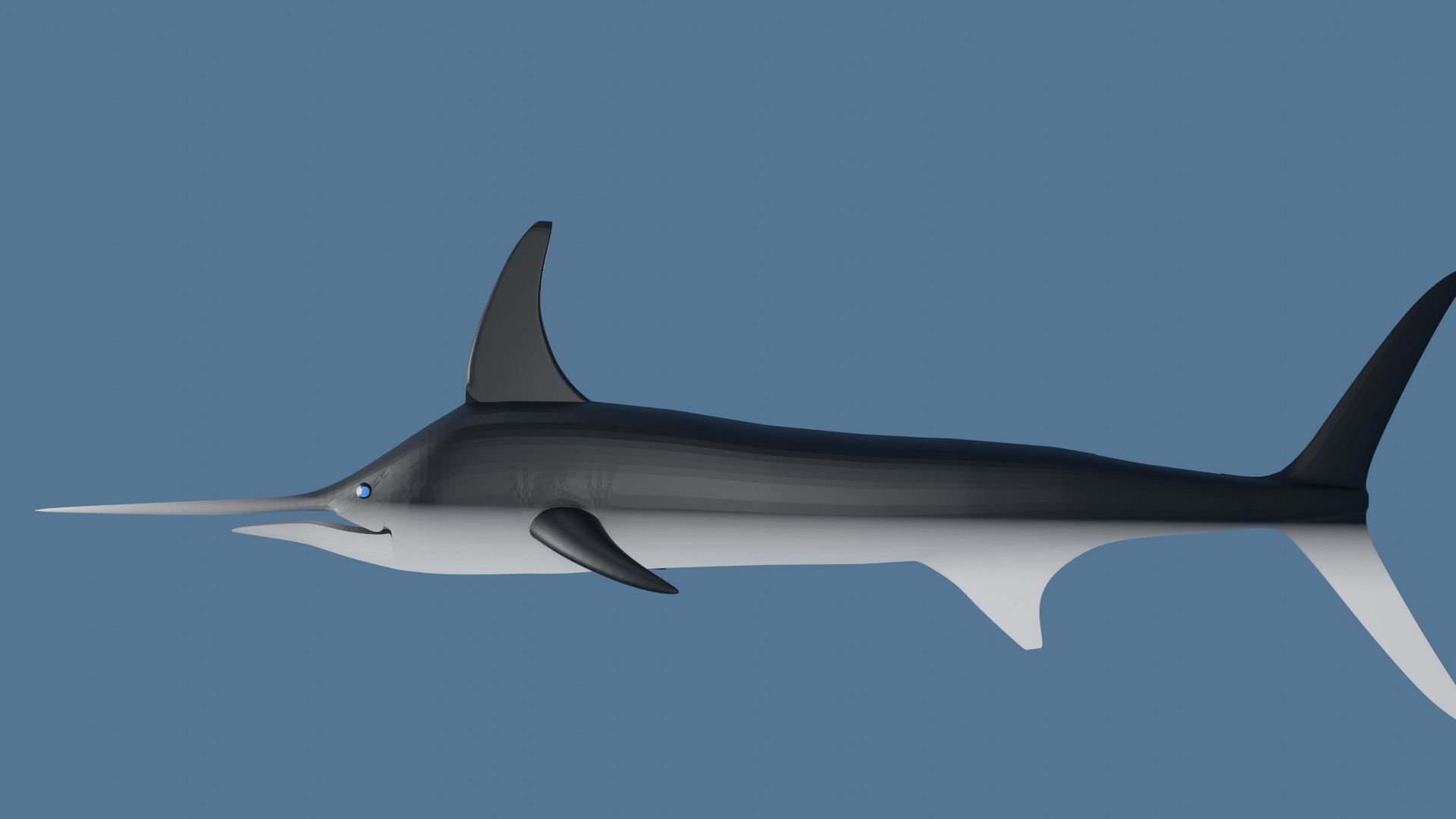 Sword Fish Low-poly 3D model_3