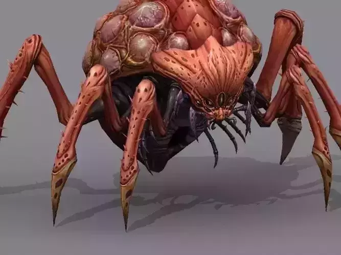 Queen bug Low-poly 3D model