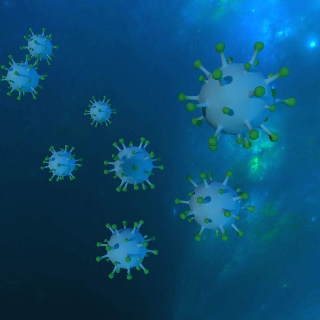 Corona virus 3D model_4