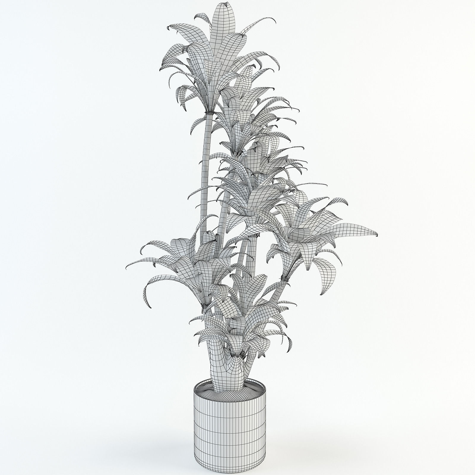 Palm tree in flowerpot 3D model_9