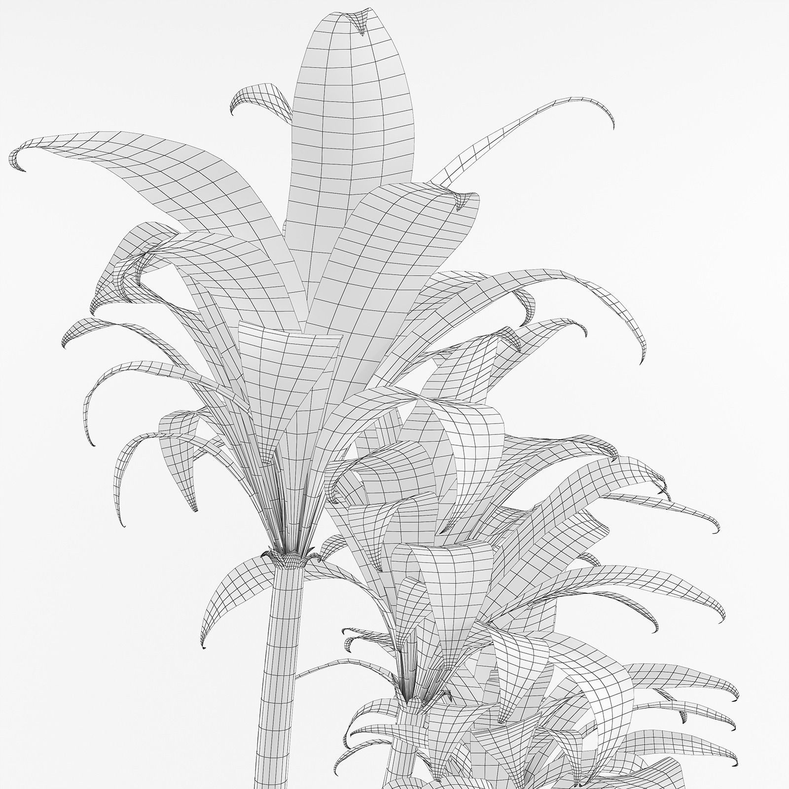 Palm tree in flowerpot 3D model_11
