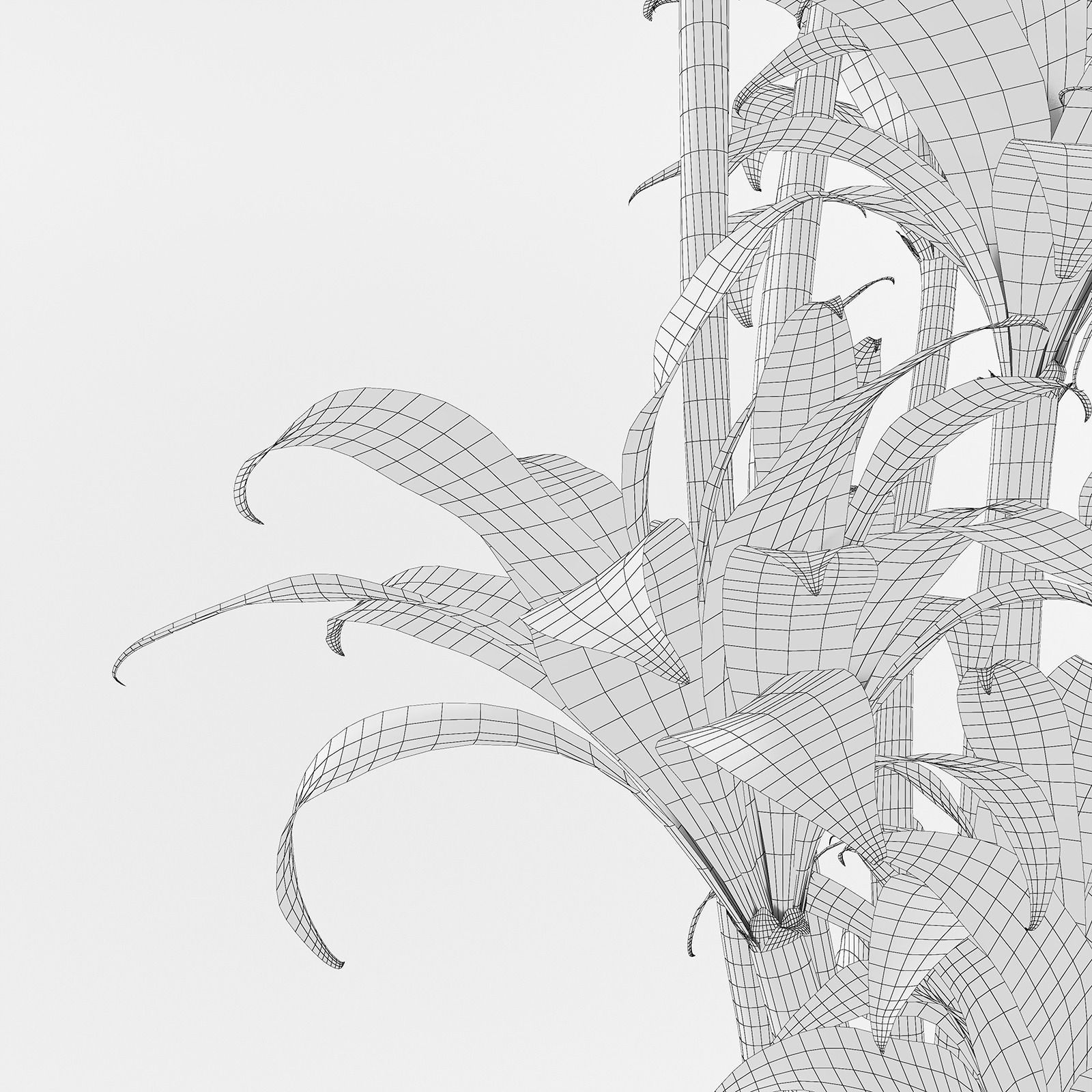 Palm tree in flowerpot 3D model_12