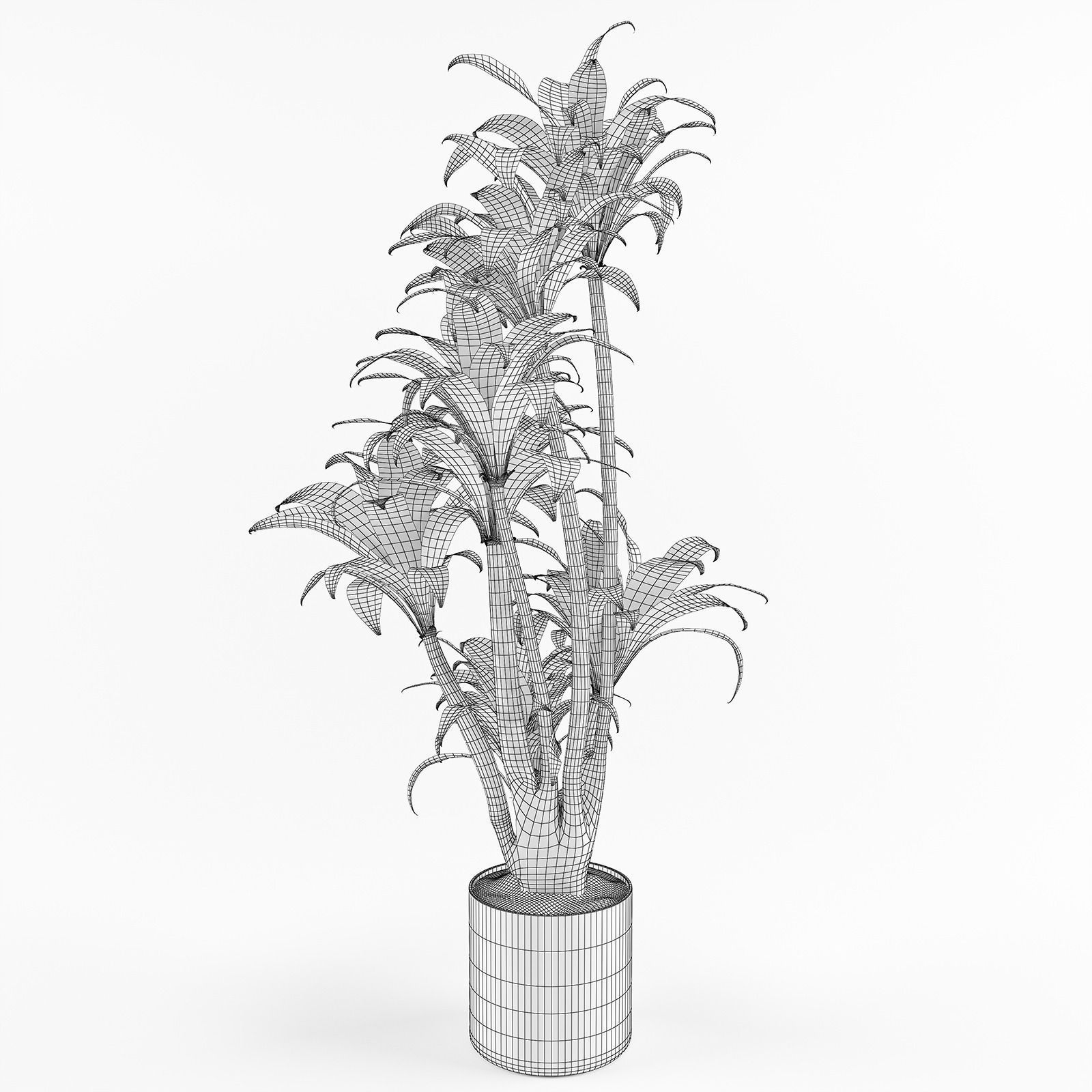 Palm tree in flowerpot 3D model_10