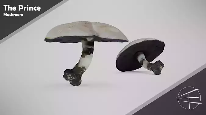 The Prince Mushroom - Light Brown Mushroom Low-poly 3D model