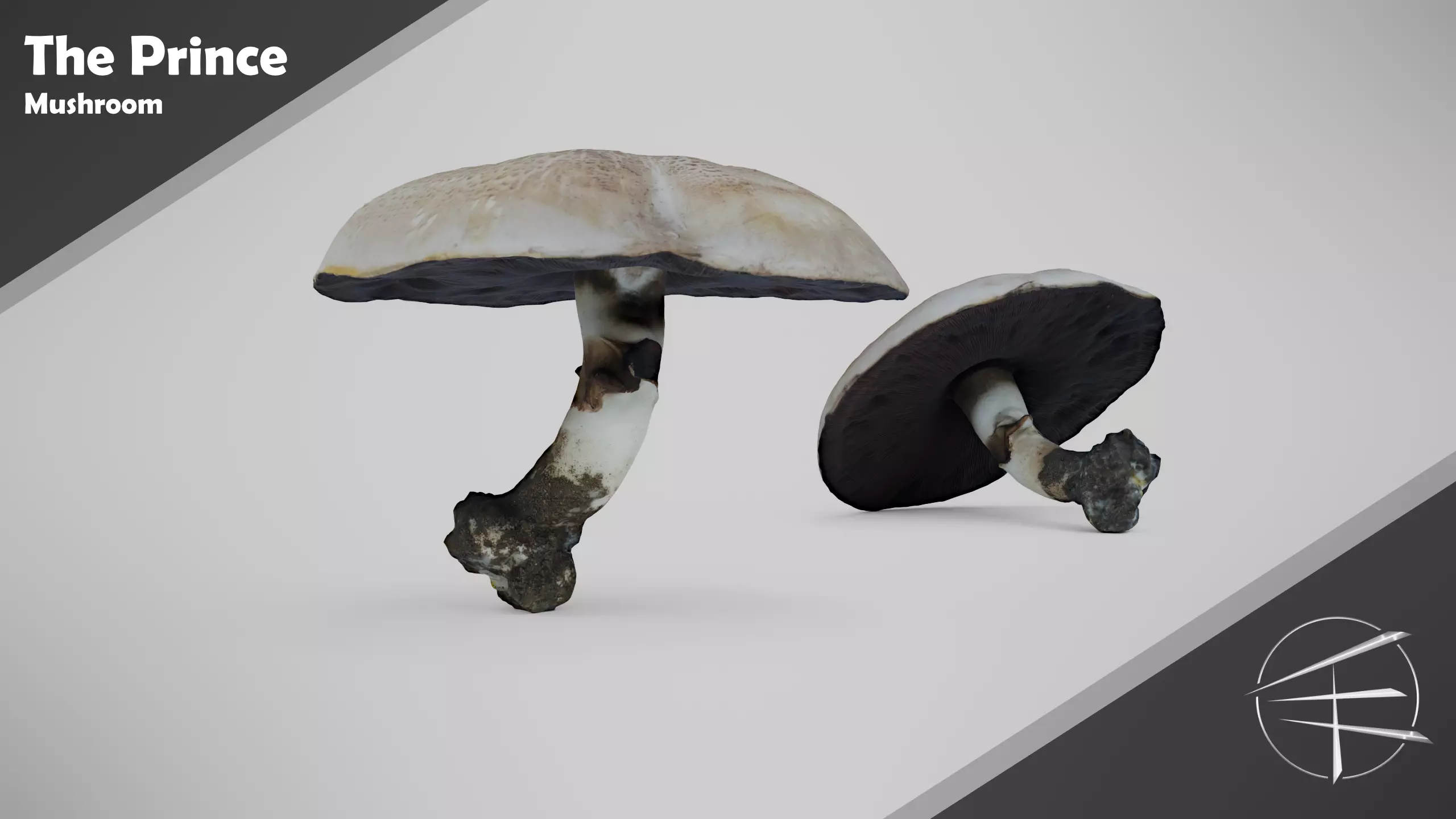 The Prince Mushroom - Light Brown Mushroom Low-poly 3D model_0