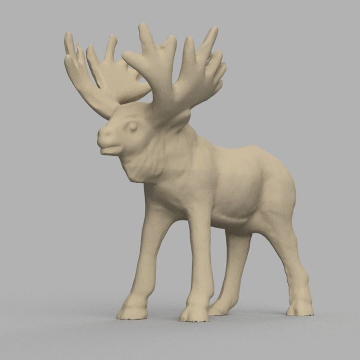 Renne moose 3D model_2
