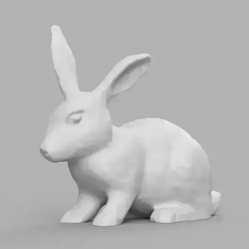 Lapin rabbit