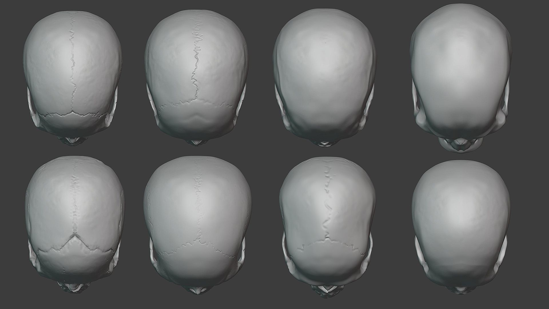 Skulls sculpt pack 3D model_7