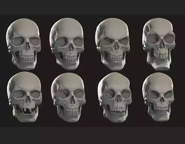 Skulls sculpt pack 3D model