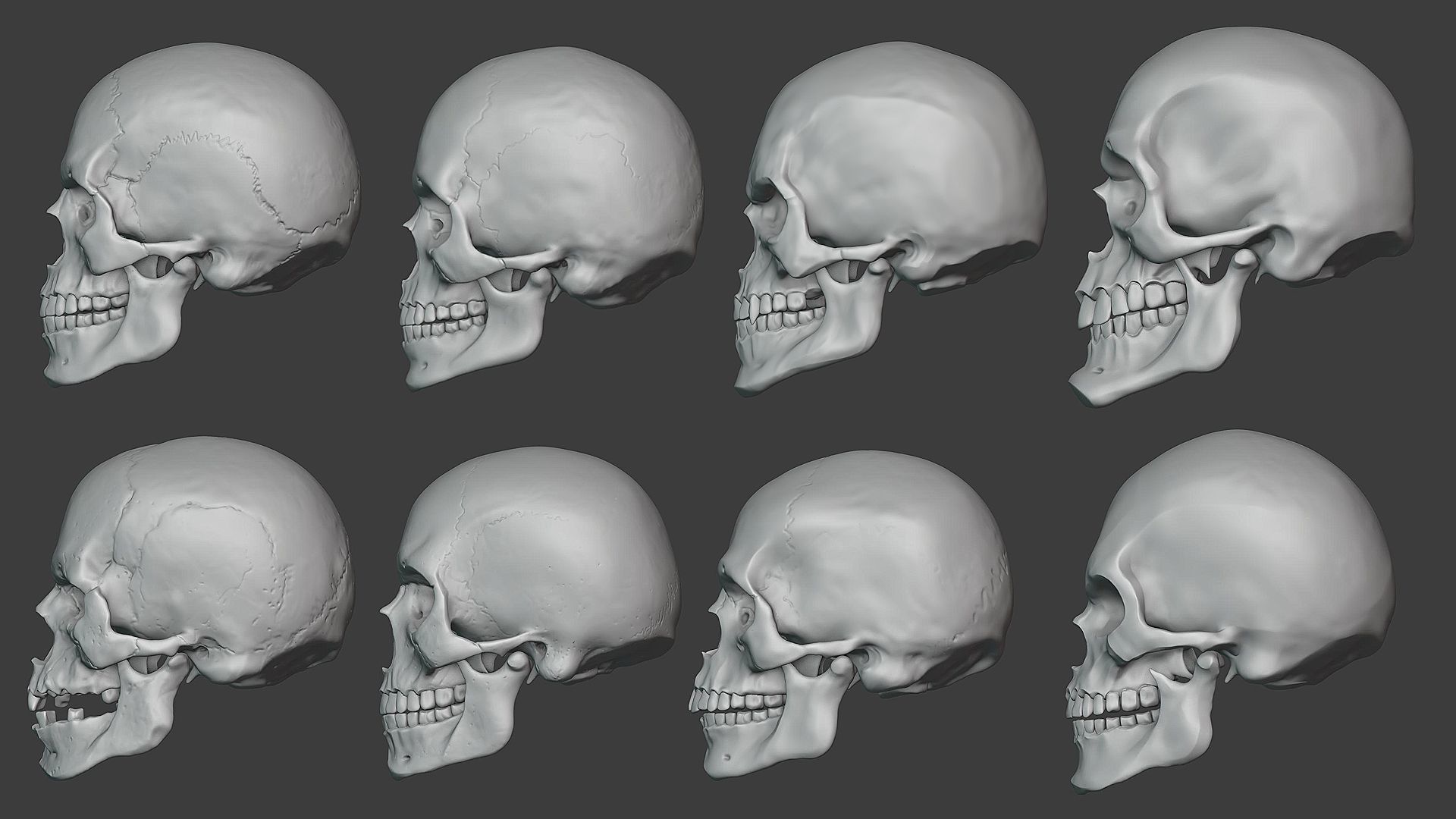 Skulls sculpt pack 3D model_4
