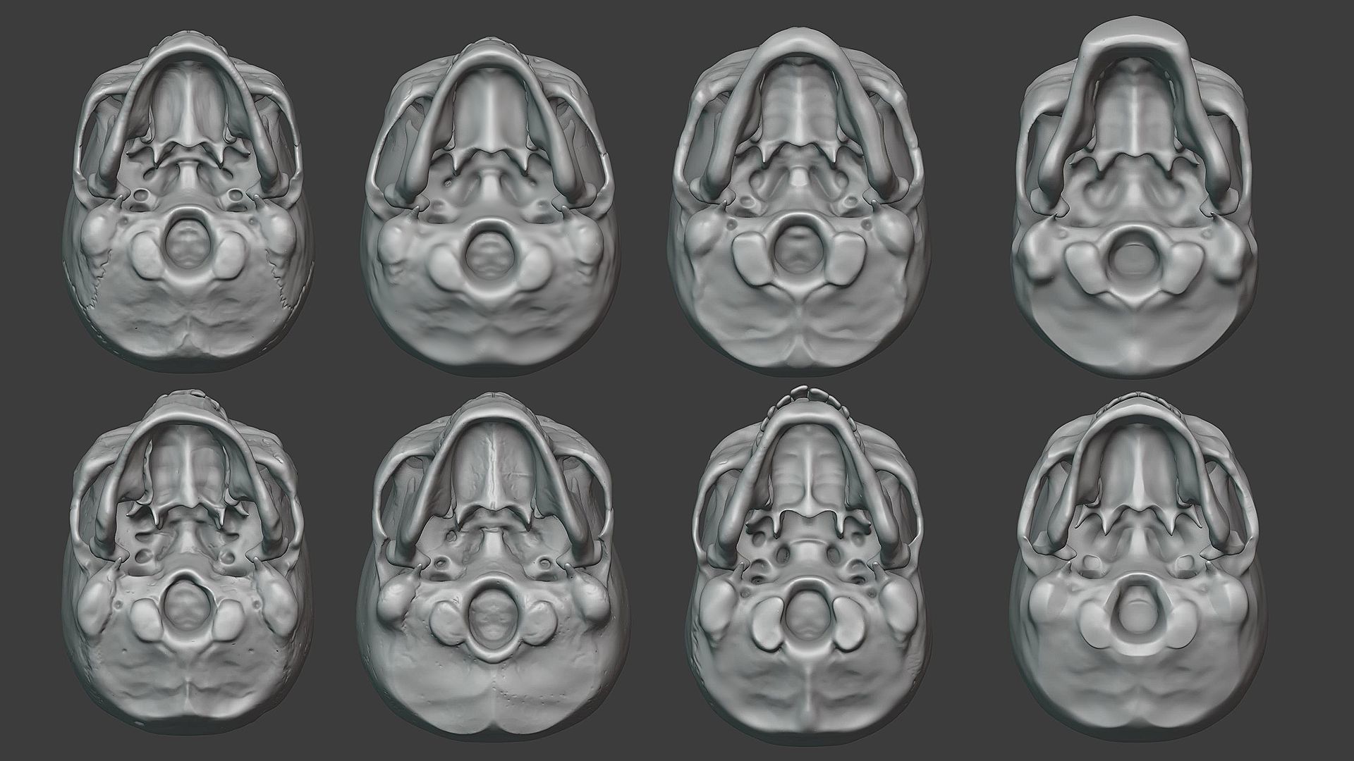 Skulls sculpt pack 3D model_6