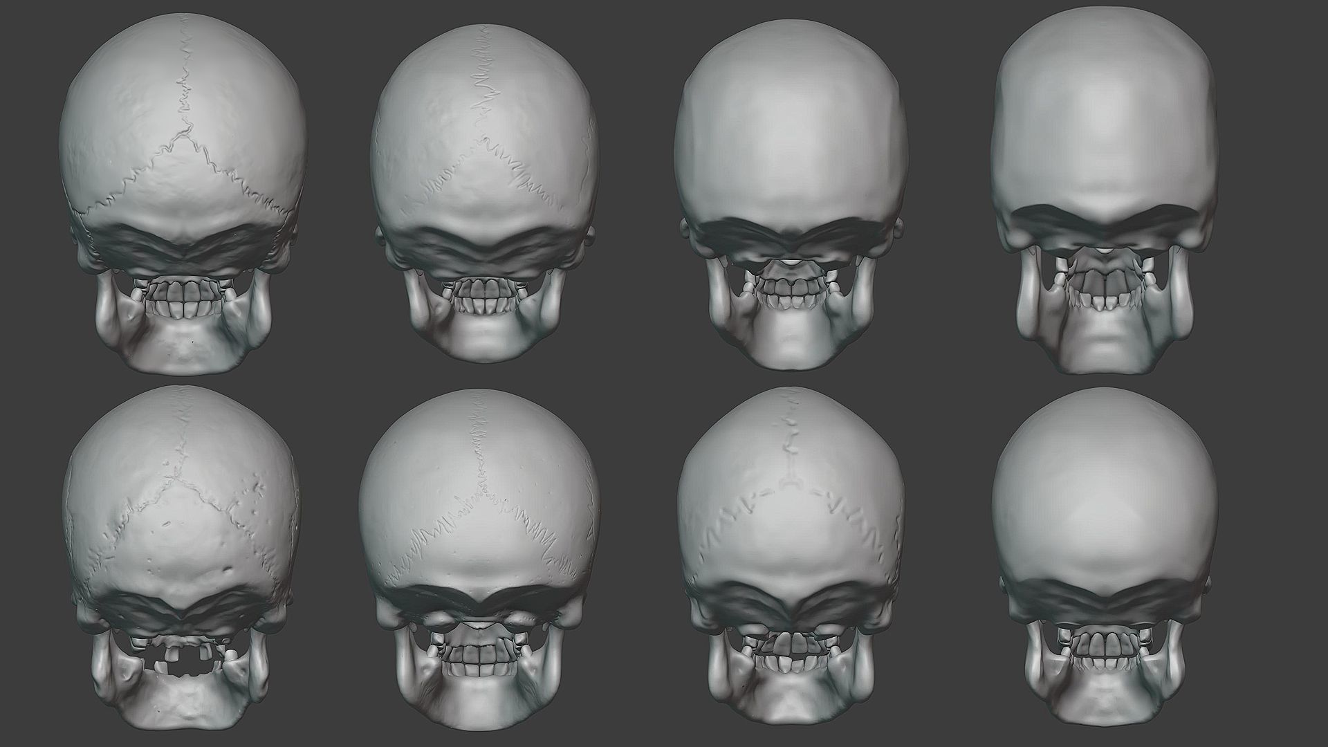 Skulls sculpt pack 3D model_5