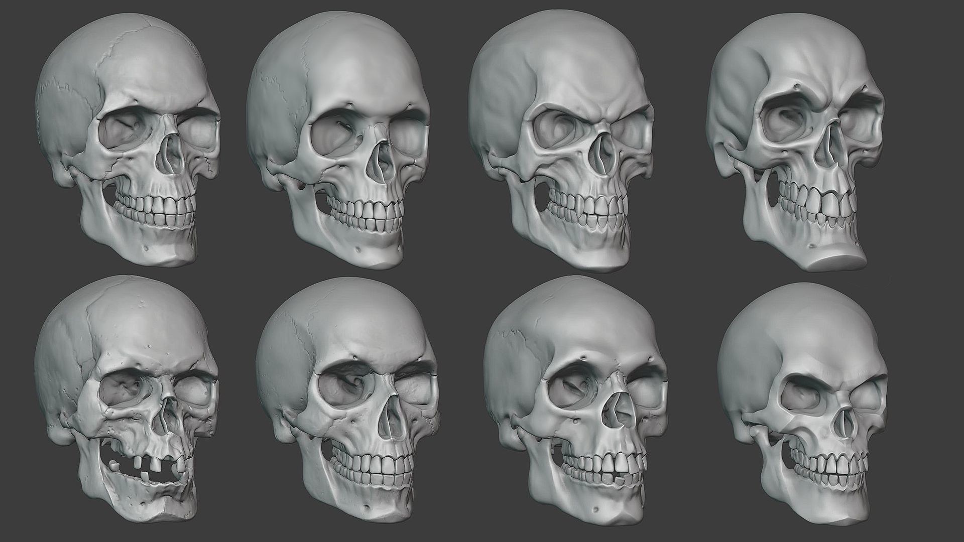Skulls sculpt pack 3D model_3