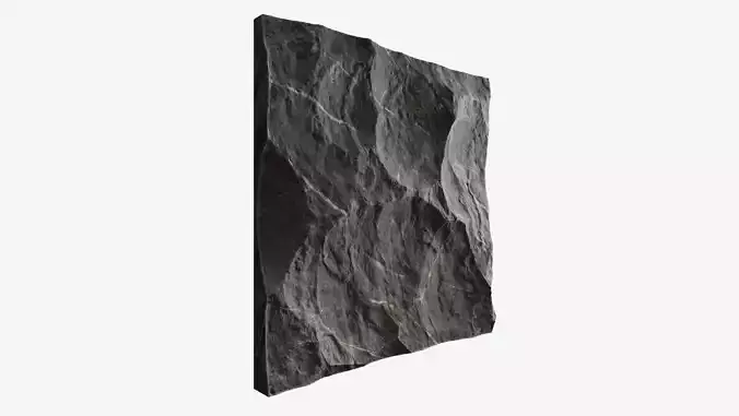 285-RockPanel piece of rock