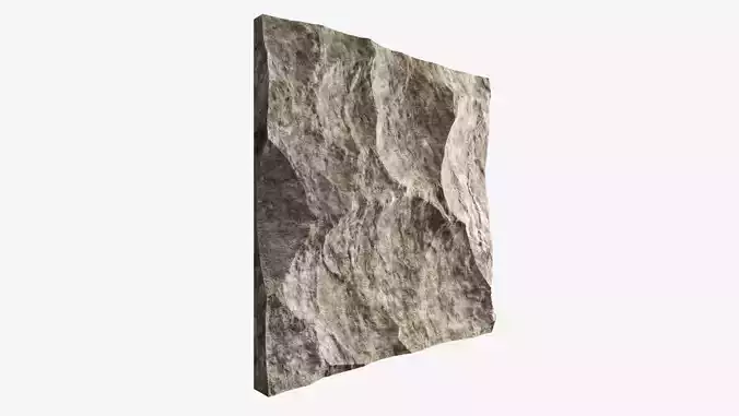 301-RockPanel piece of rock
