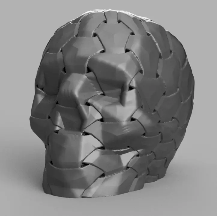 Skull hexa X2 3D print model