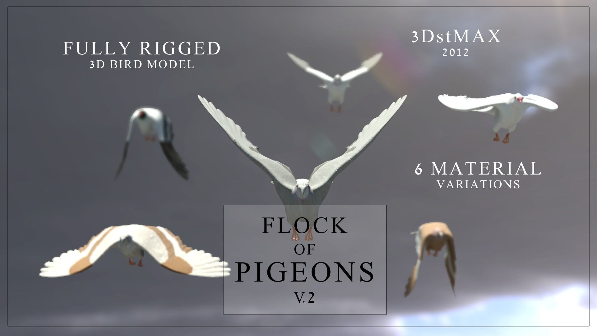Flock of Birds - Pigeons - Rigged - Animated Low-poly 3D model_2