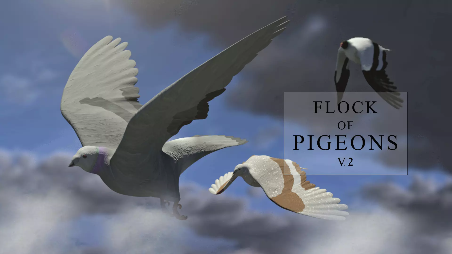 Flock of Birds - Pigeons - Rigged - Animated Low-poly 3D model_0