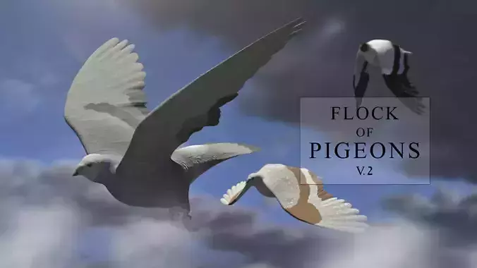 Flock of Birds - Pigeons - Rigged - Animated