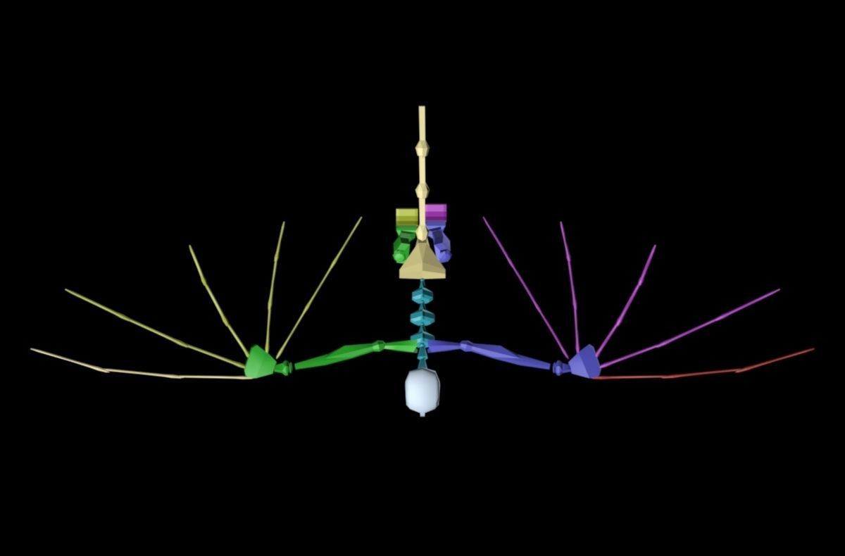 Flock of Birds - Pigeons - Rigged - Animated Low-poly 3D model_4