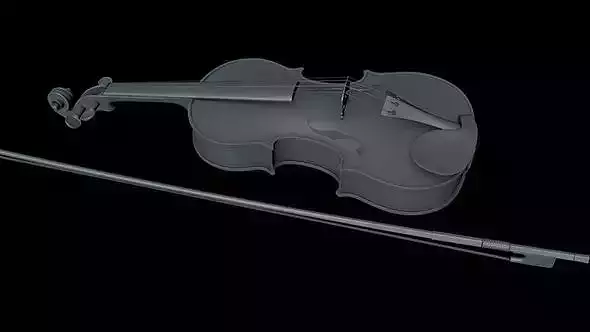Violino violin