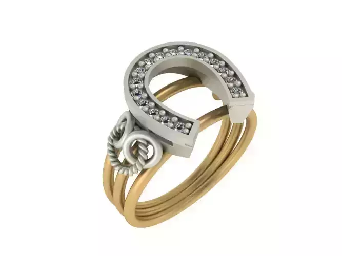 Horseshoe ring
