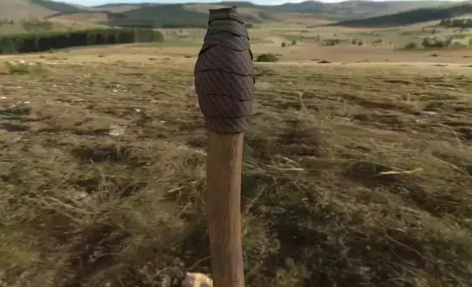 Torch wooden spear in middle of grassy field