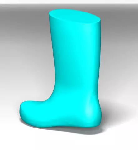 Wellingon last 41 size 3D model_0