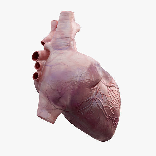  Heart Animated 8K Low-poly 3D model