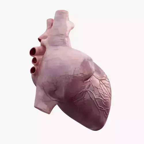  Heart Animated 8K Low-poly 3D model