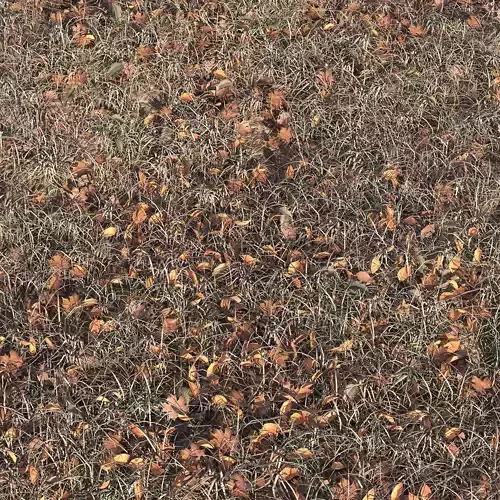 Autumn grass with leaves 3D model