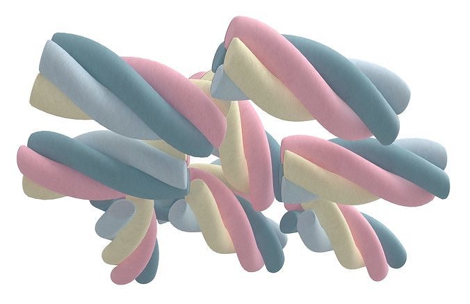 Marshmallows V2 002 Low-poly 3D model 4