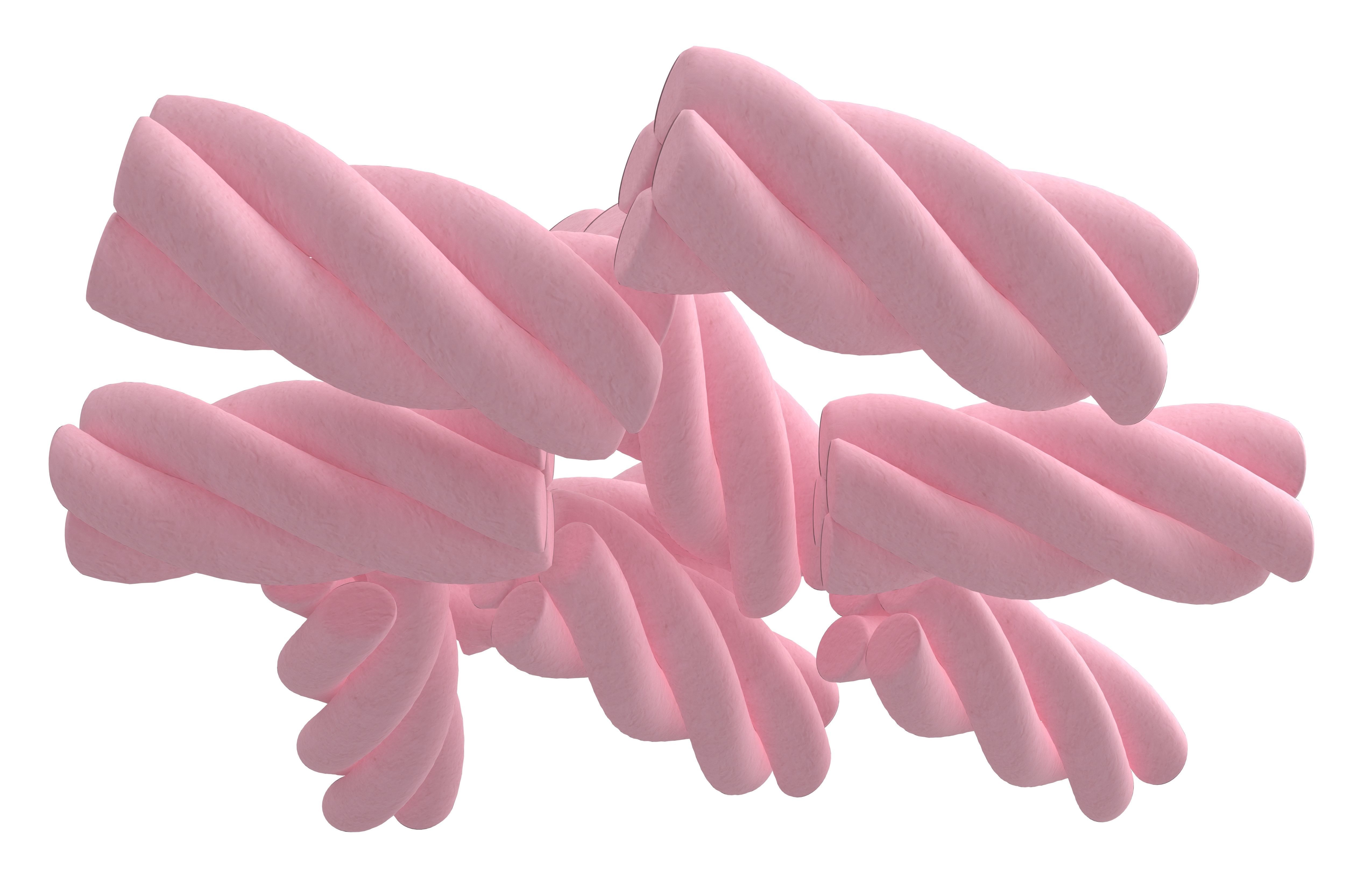 Marshmallows V2 004 Low-poly 3D model_3