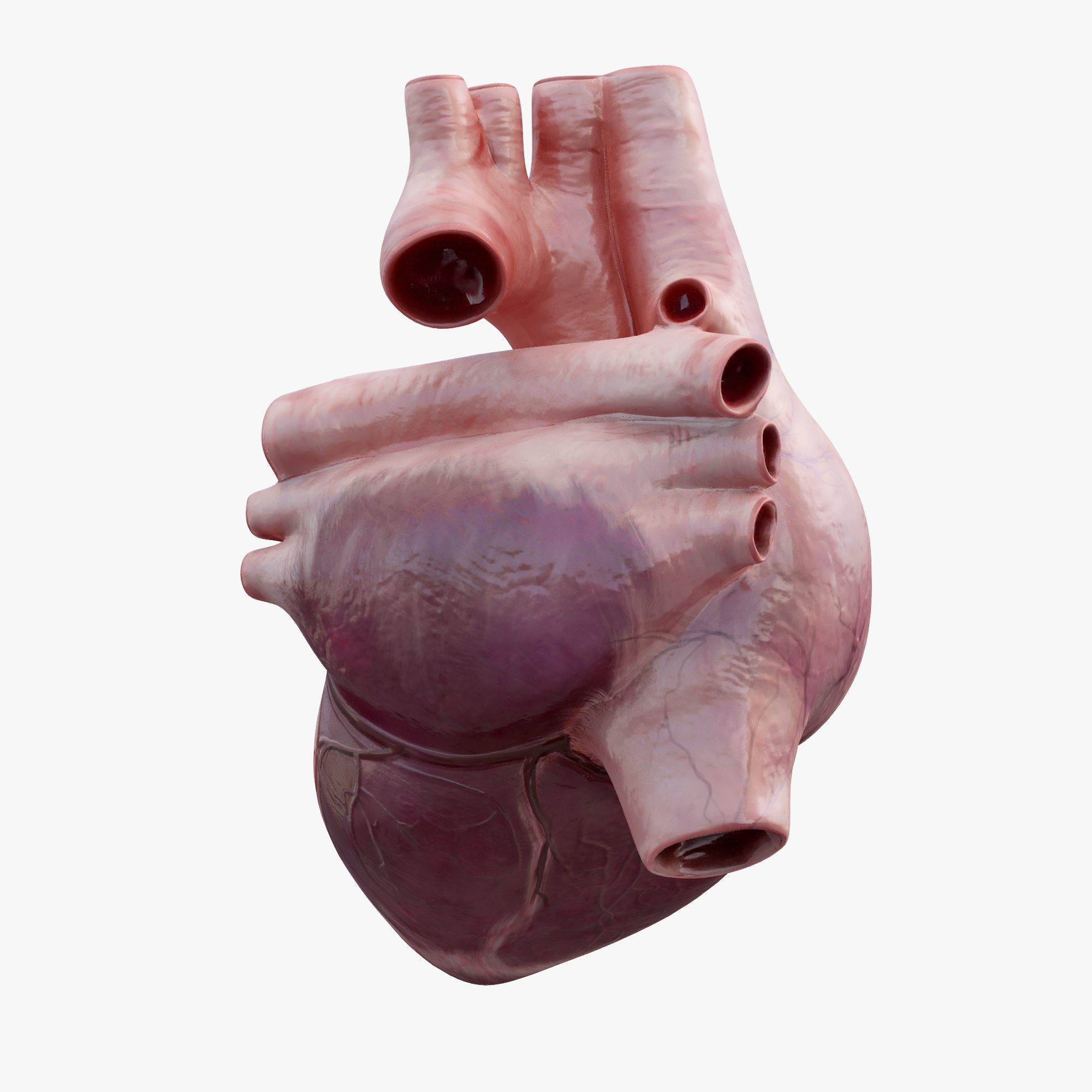 Heart Rigged 8K Low-poly 3D model_7
