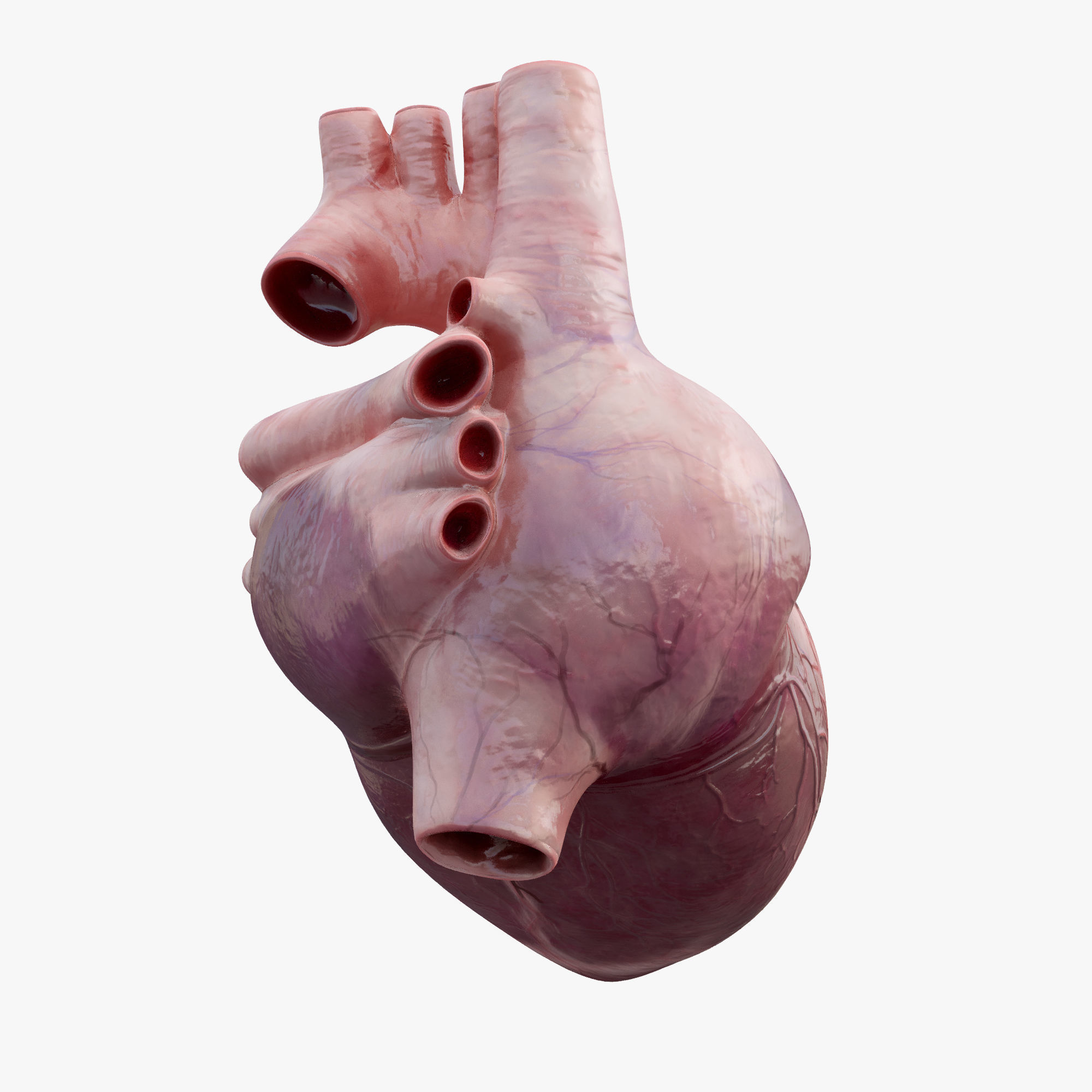 Heart Rigged 8K Low-poly 3D model_10