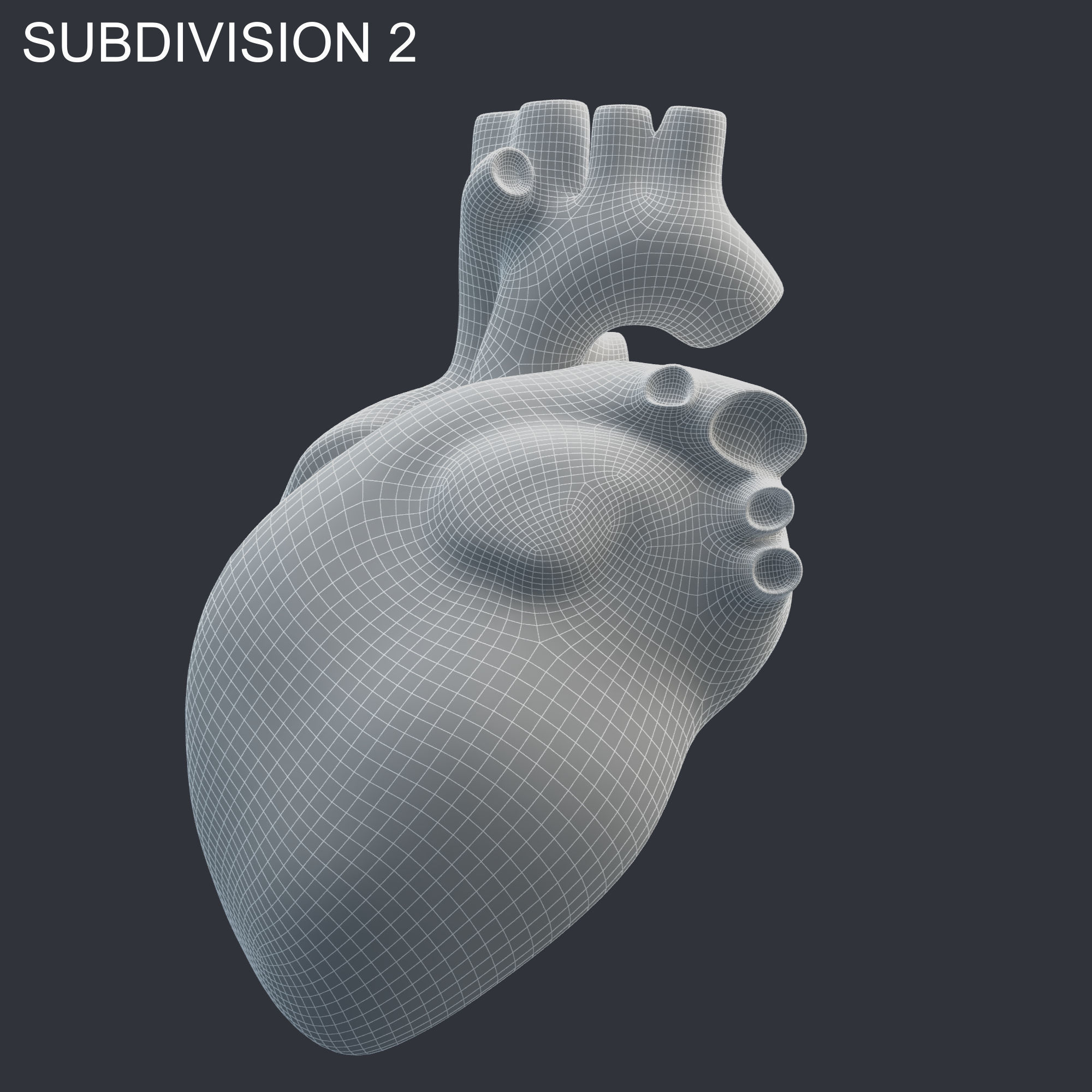 Heart Rigged 8K Low-poly 3D model_20