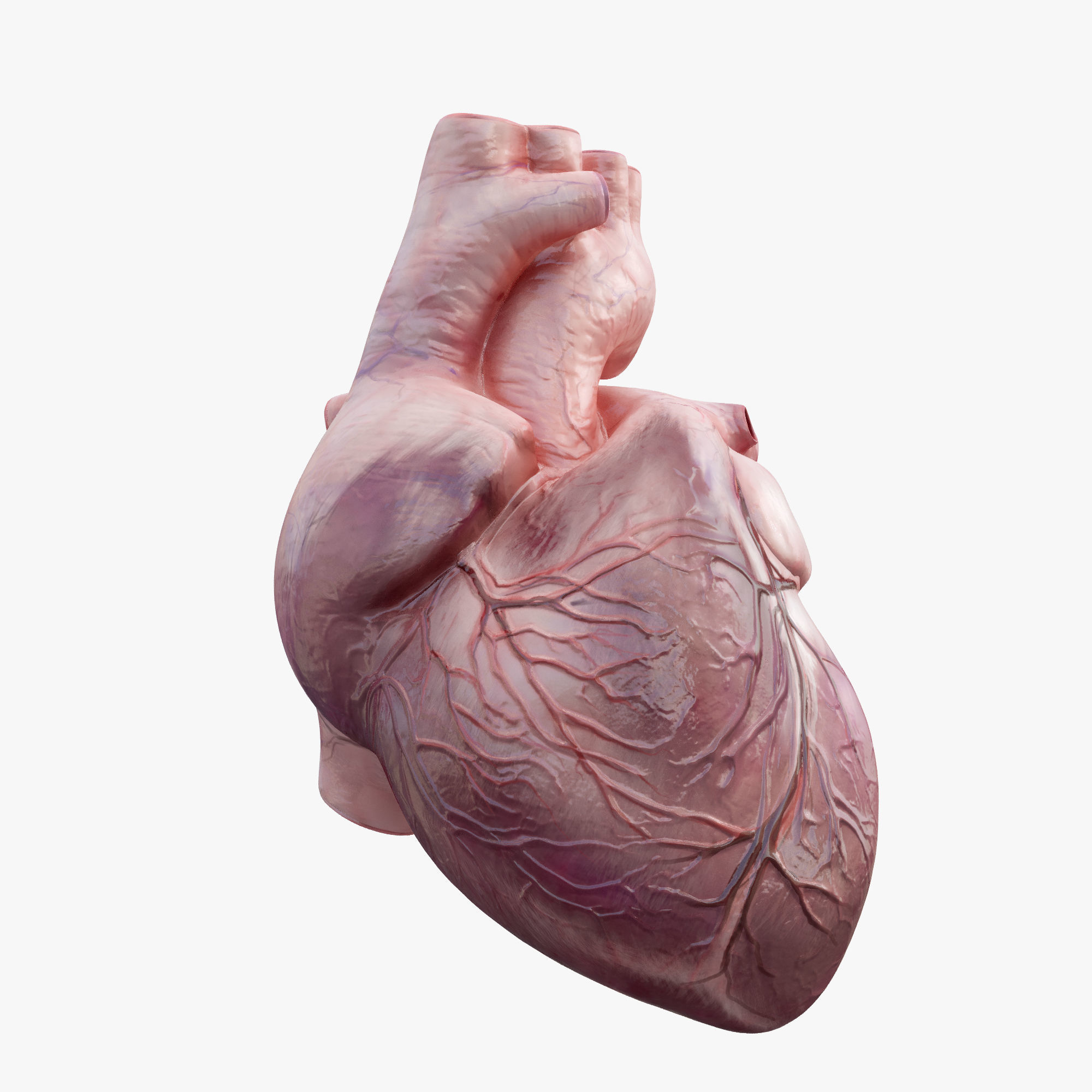Heart Rigged 8K Low-poly 3D model_3