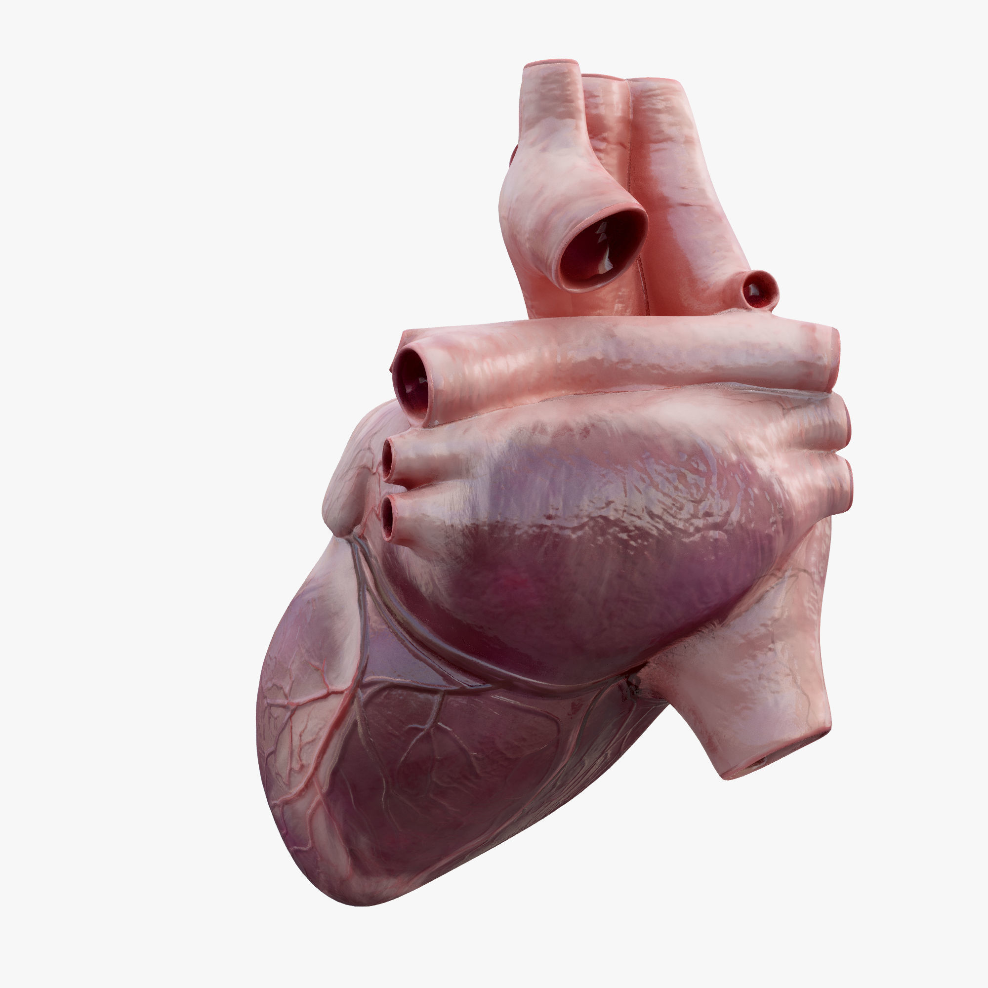 Heart Rigged 8K Low-poly 3D model_9