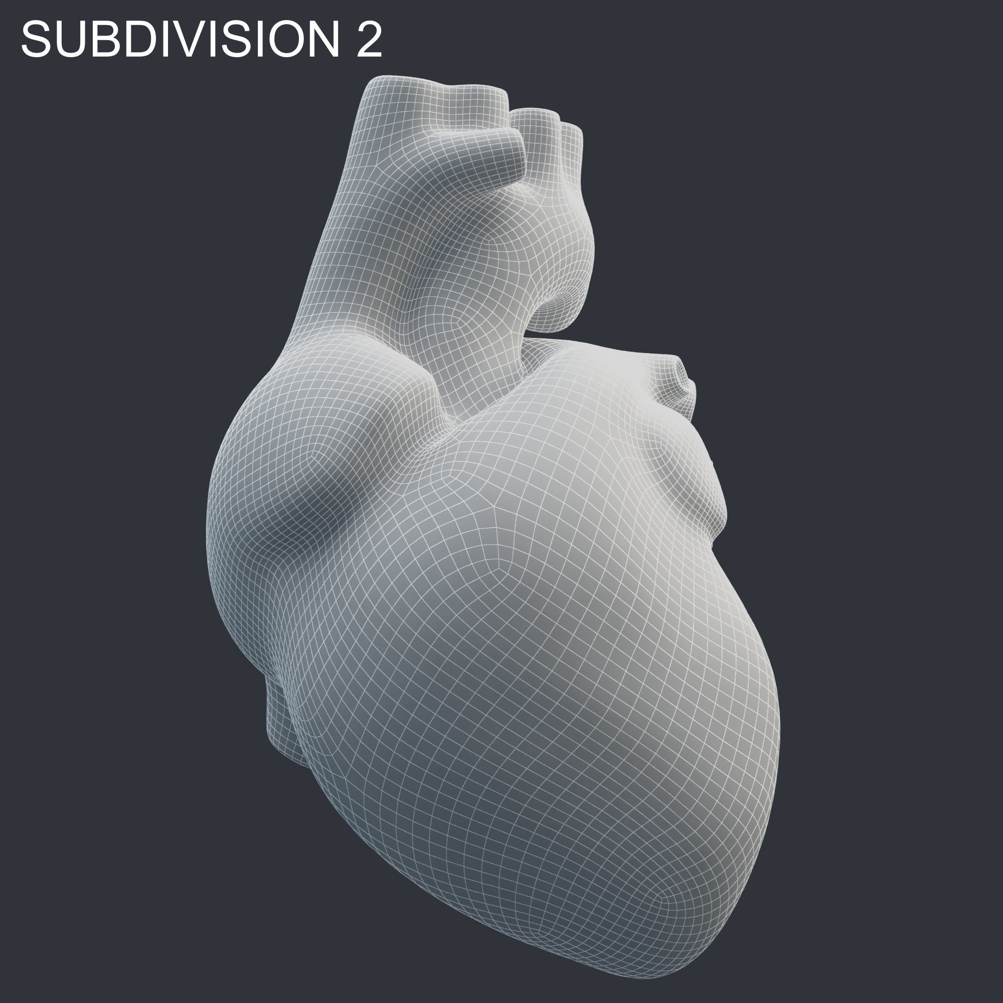 Heart Rigged 8K Low-poly 3D model_17