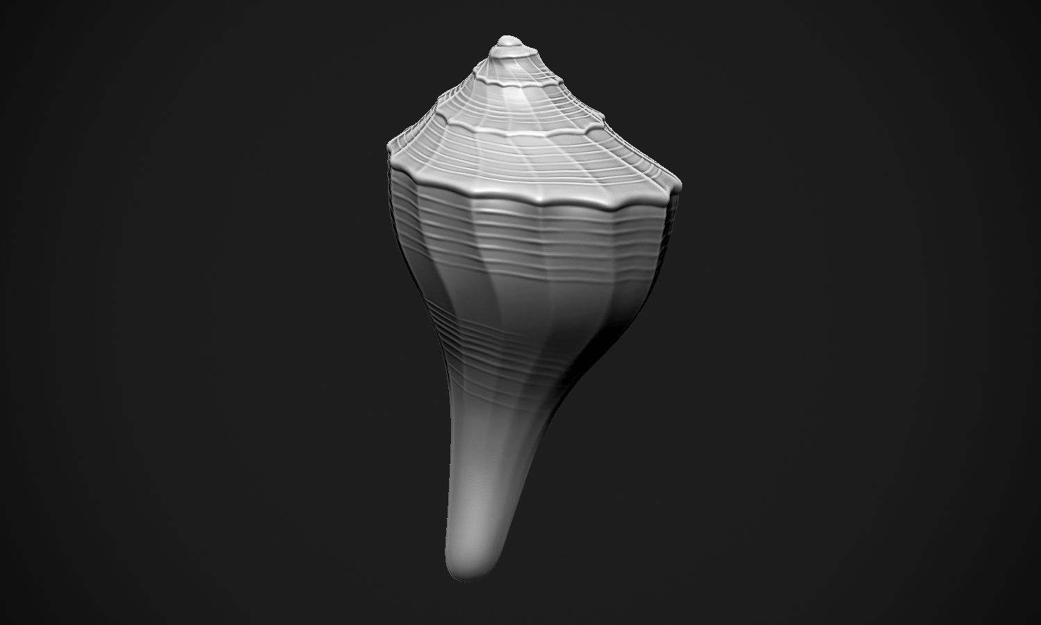 Shell sea 3D print model_18