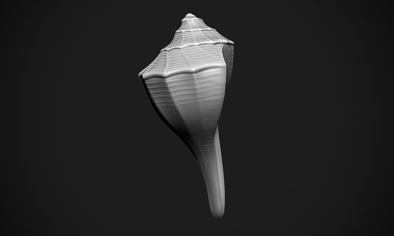 Shell sea 3D print model_14